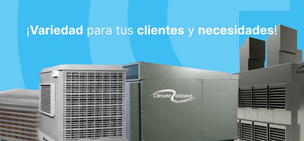 descripción de imagen