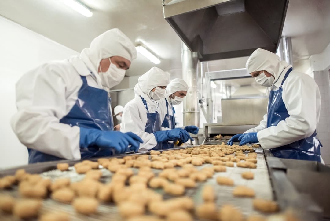 Trabajadores en una línea de producción de alimentos usando trajes de protección, con sistemas de ventilación TBSI-580 asegurando un aire limpio.